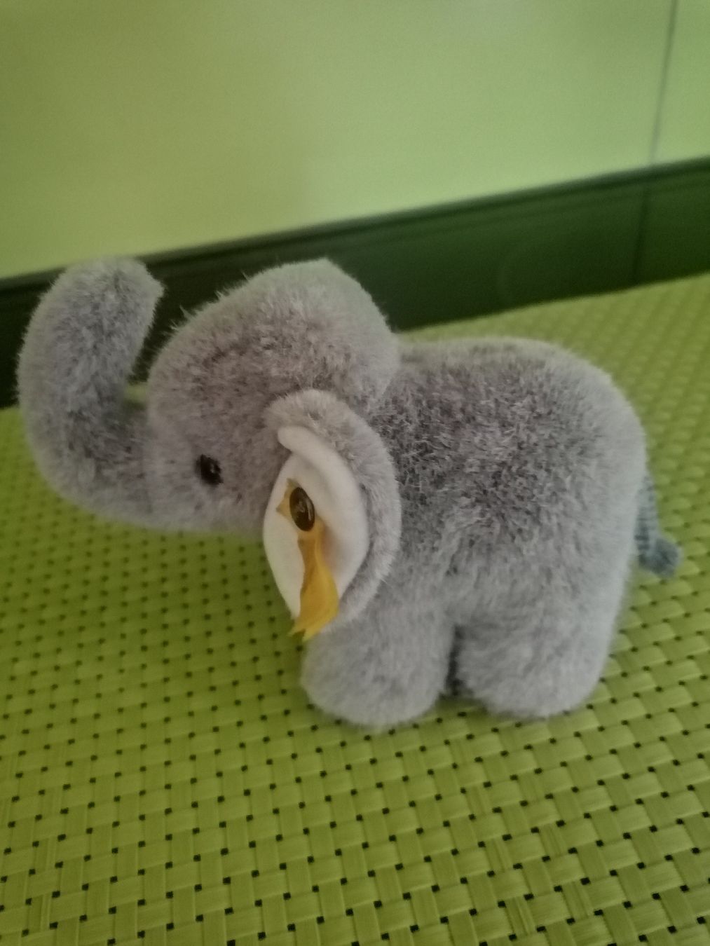 Steiff Spielzeuge: Steiff elefant Jumbo klein – Gebraucht aus Biberist von troedlerheinz 1