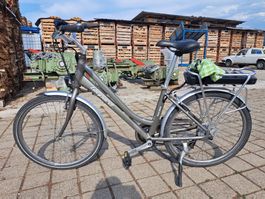 E-Bike Leopard Railway 25km/h Lieferung möglich