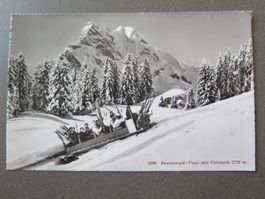 BRAUNWALD - FUNI MIT ORTSTOCK