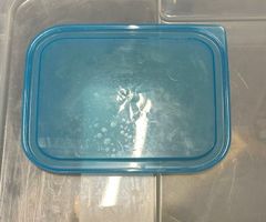 Deckel für Frischhaltedose blau rechteckig