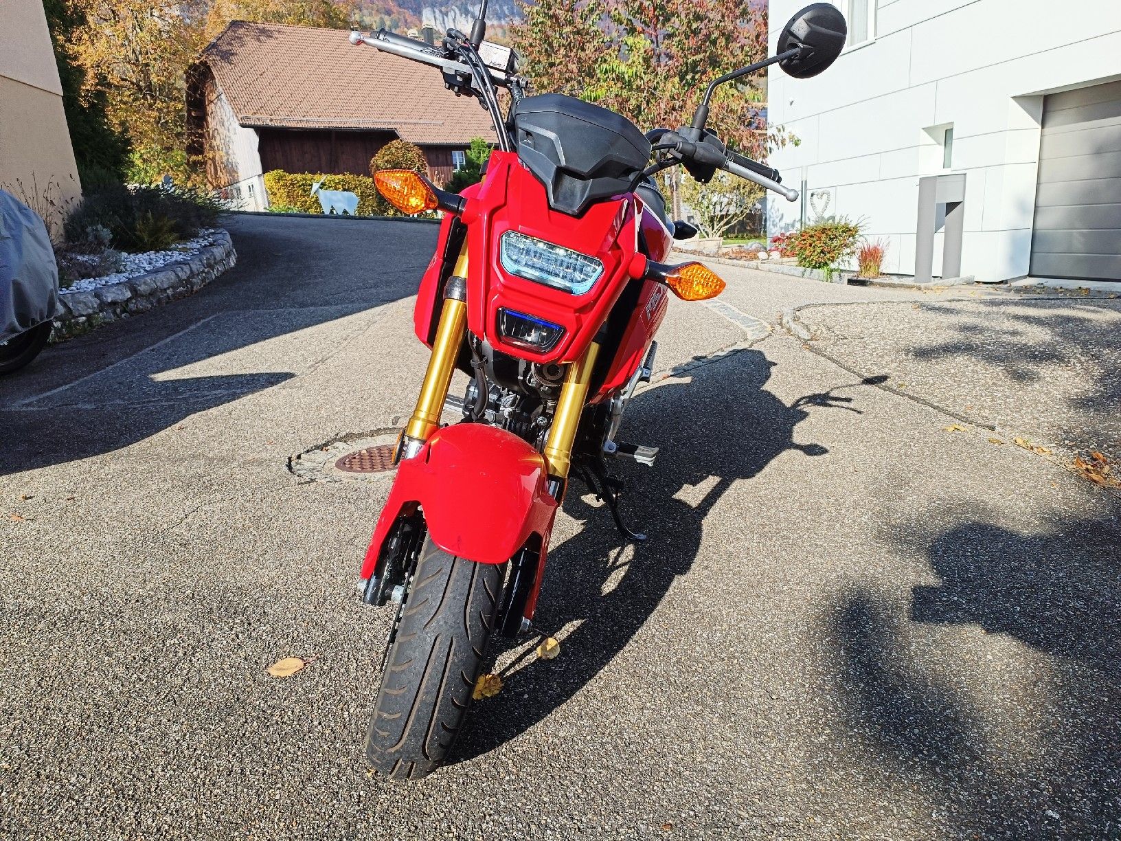Honda Route: Honda MSX 125 – D'occasion à Günsberg par Dingdeling 1