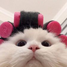 Profile image of Meetmeatthebodega