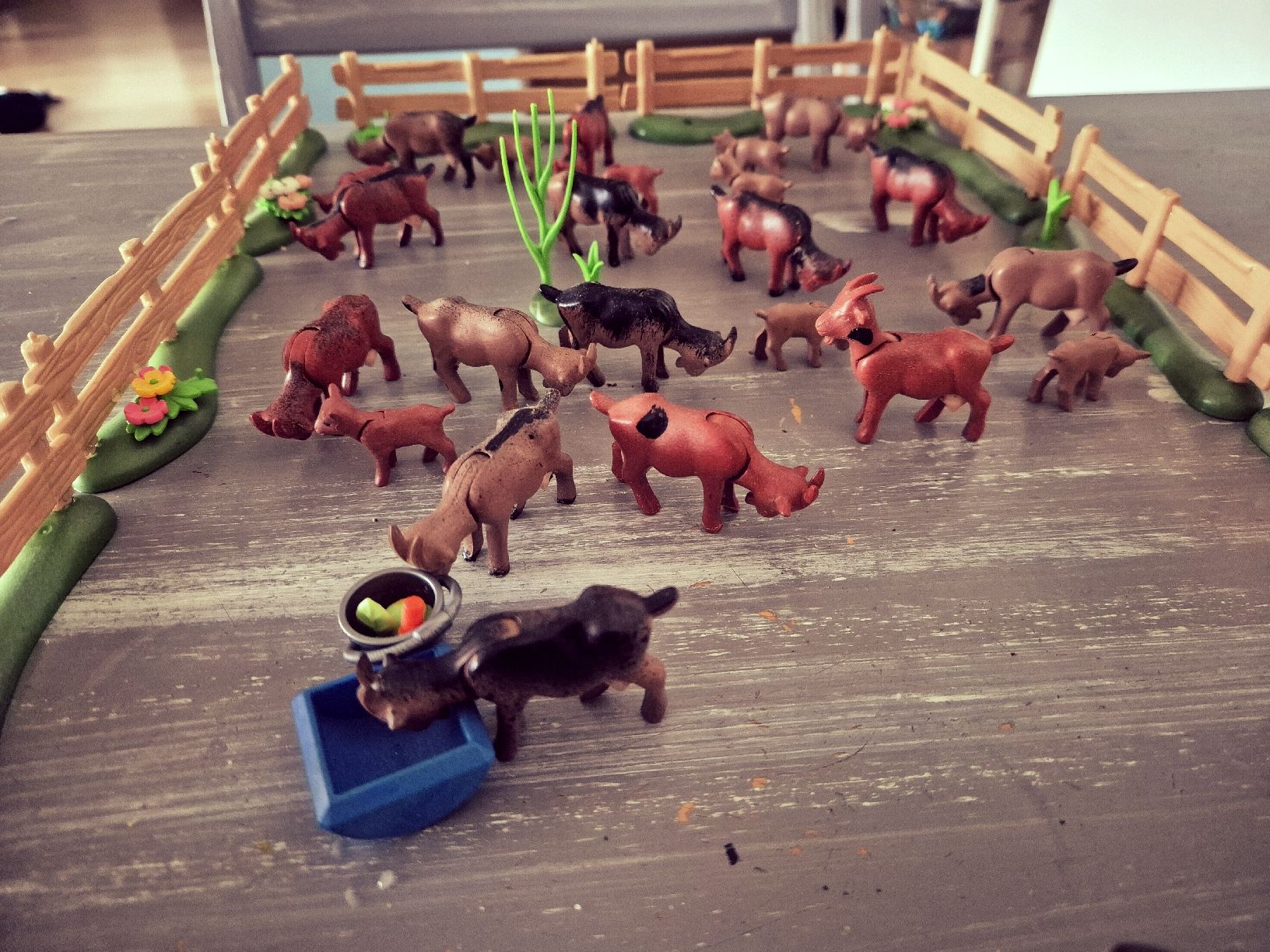 Playmobil Giocattoli: Ziegen mit Weide und Jungtiere – Usato da Fahrweid venduto da Fischwasser6 4