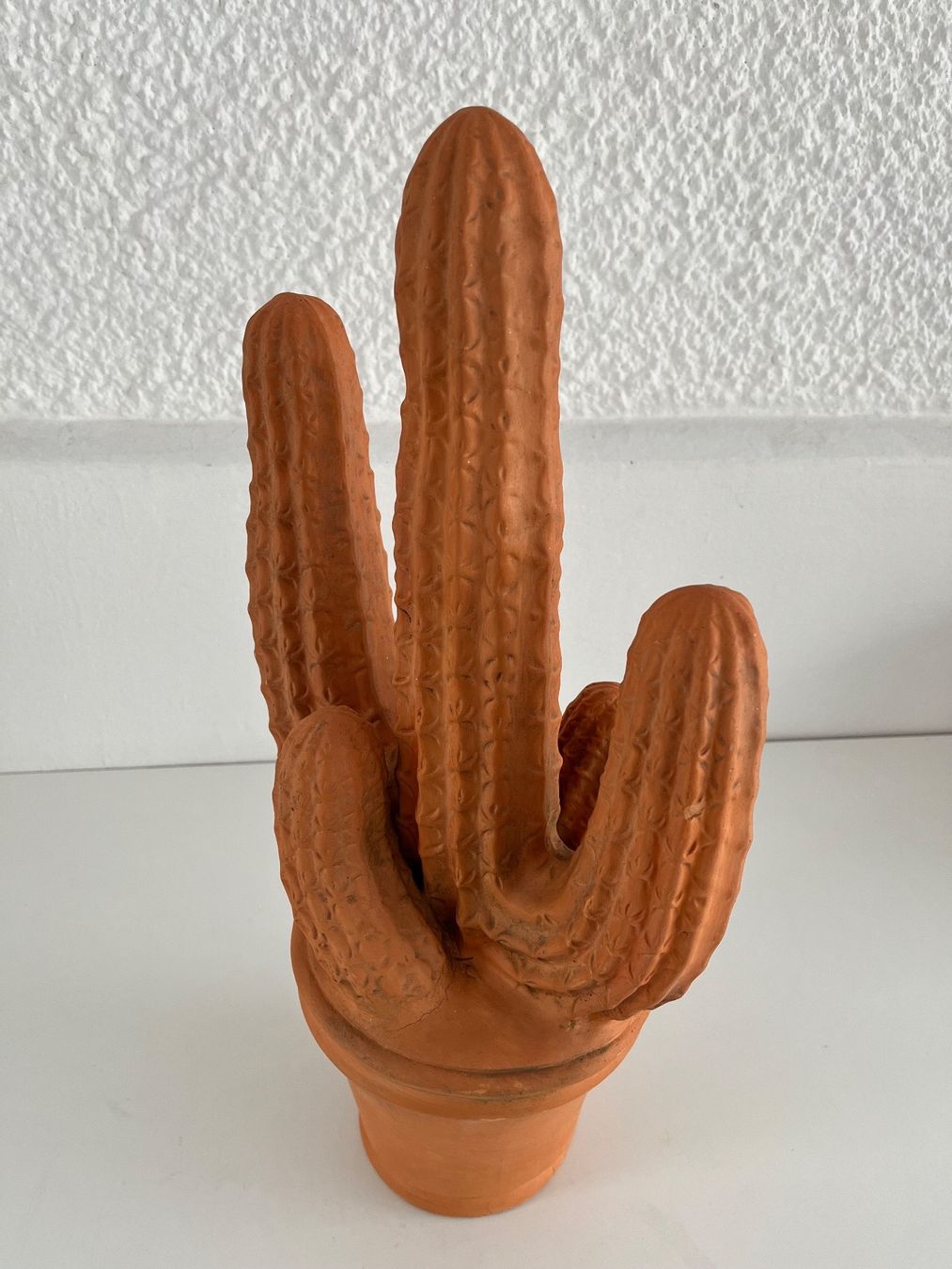 Tutte le decorazioni: Kaktus aus Terracotta – Usato da Wetzikon ZH venduto da seli03 7