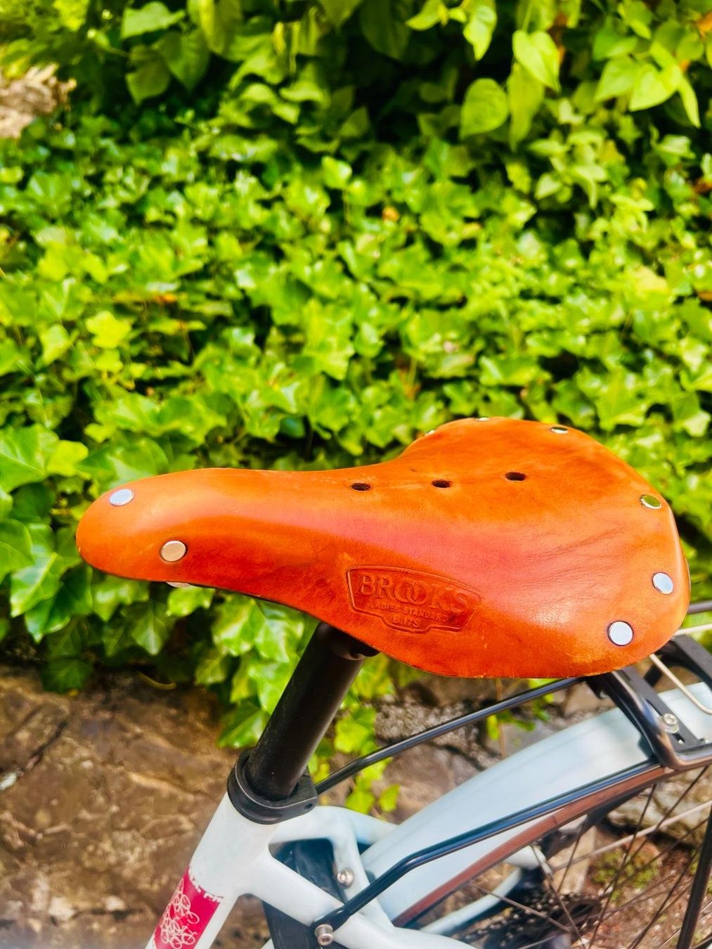 Ibex Biciclette: Ebike Ibex eAvantgarde – Usato da Hergiswil NW venduto da Tinu35 7