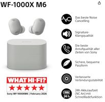 Sony WF-1000XM6 In-Ear Kopfhörer – Platinum Silver – NEU OVP