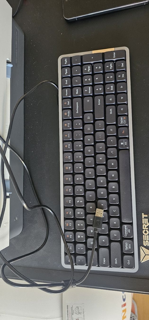 Tastiere: Lofree Flow100 Low-profile Mechanical Keyboard – Nuovo (secondo la descrizione) da Zürich venduto da Yllka.ja