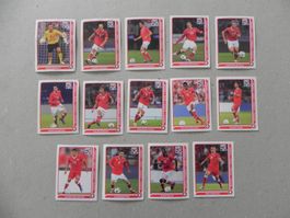 Panini Fussball WM Südafrika 2010 Schweiz 14 Stk. für Poster