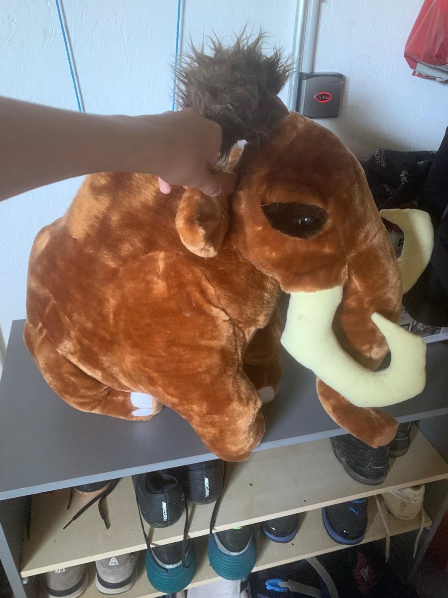 Giocattoli: Peluche XL à vendre – Usato da Sonceboz-Sombeval venduto da msap