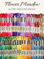 40x DMC Mouliné Stickgarn Multicolor Art 117 - LOS B5
