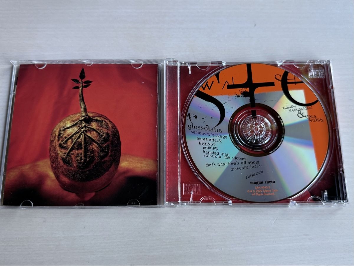 CD: Steve Walsh Glossolalia CD Album – Usato da Oberried Brienz venduto da Chyara 2