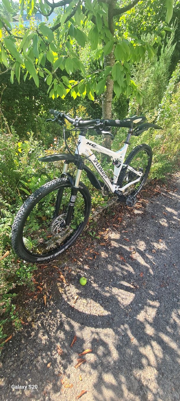 Specialized Vélos: Spezialized Mountainbike  – D'occasion à Tägerwilen par miaK 1