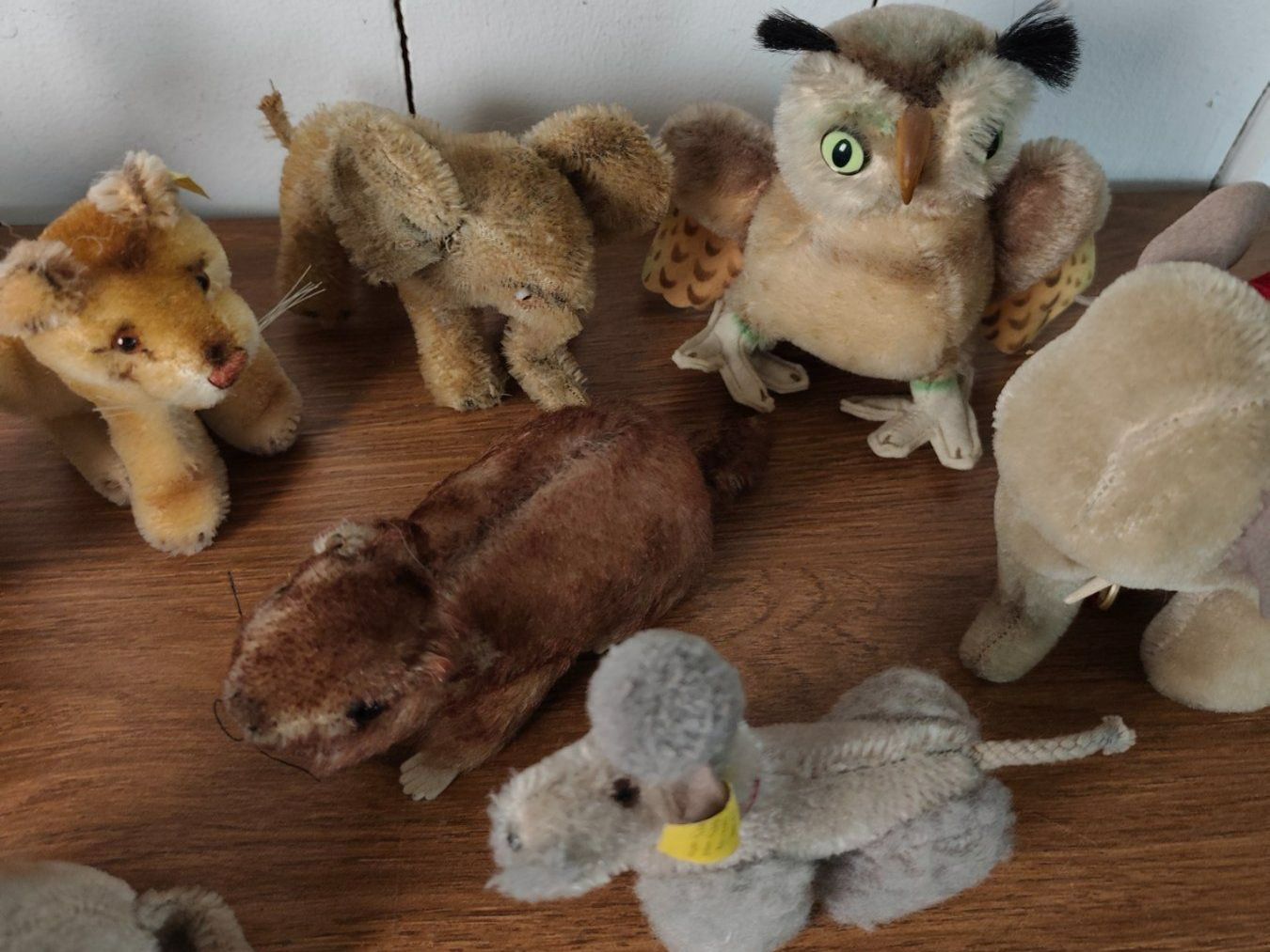 Steiff Giocattoli: Div. Steiff Stofftiere Spielzeug antik – Usato da Goldswil b. Interlaken venduto da troedlermarkt-goldsw 3