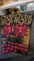 Die Toten Hosen Karten / Tickets Zürich 20.06.26 2 Stk