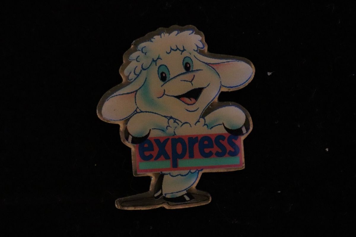 Placchette & Badge: Express PIN – Usato da Ottenbach venduto da siiinnaa_77