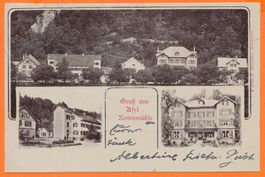 Gruss aus ASYL - RÄMISMÜHLE / ZH - 1901 - TOP!