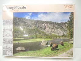 Orange 42 Yellowstone River 1000