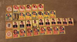 PANINI WM 26 GRUPPE F