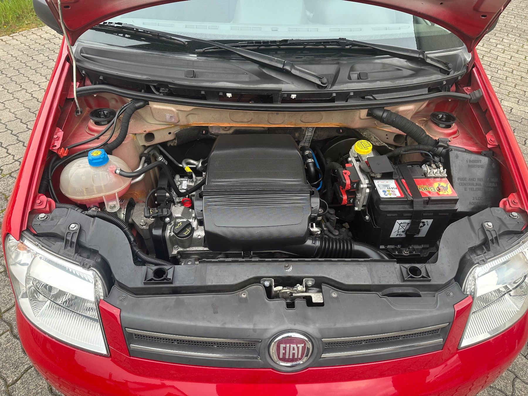 Fiat Autos: FIAT Panda 1.2 4x4 (Trekking) – Gebraucht aus Affoltern am Albis von blata81 4