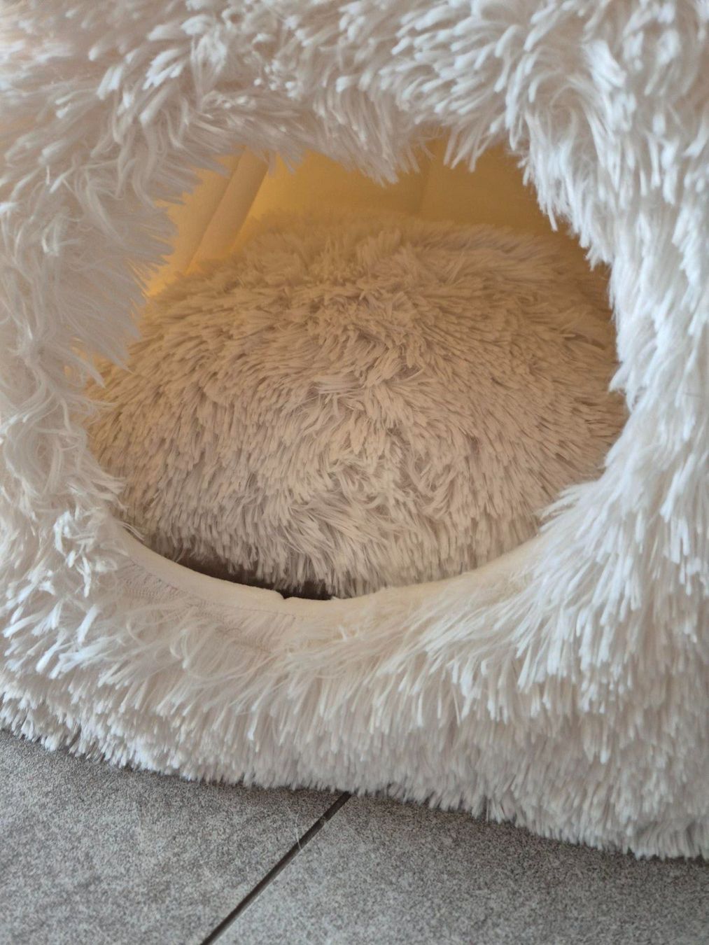 Niches, paniers: Katzen Nest – D'occasion à Zufikon par andre.koller 2