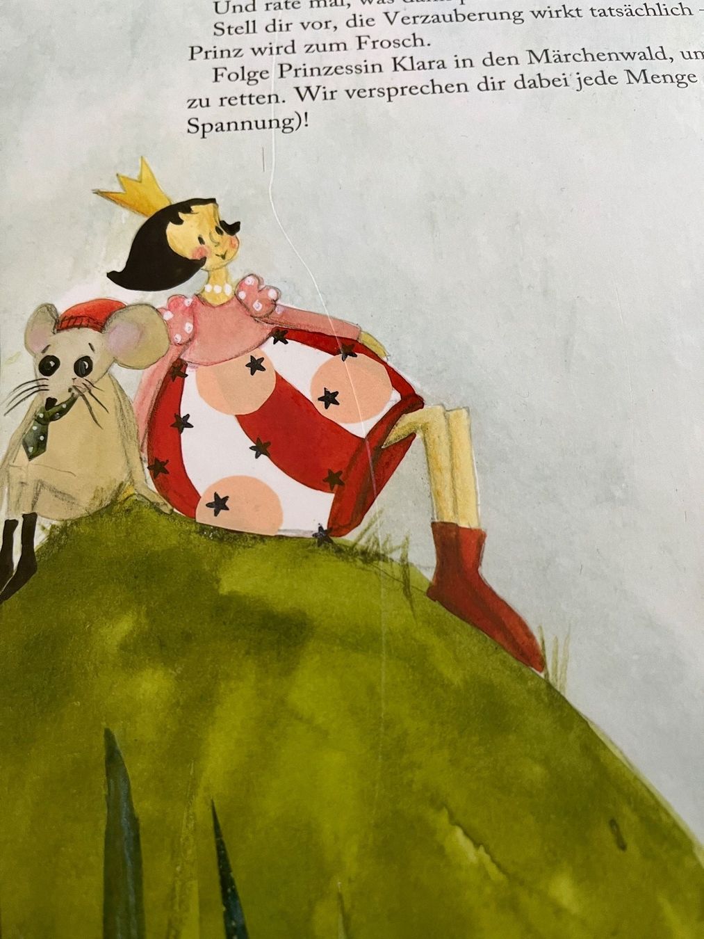Libri: Bilderbuch  "Der Froschprinz" - IKEA – Usato da Grosswangen venduto da Vita500 3
