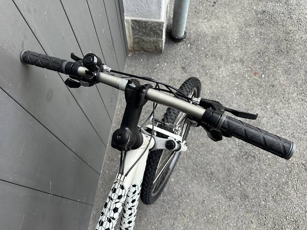 Biciclette: Bicicletta MTB 26  – Usato da Quartino venduto da DiloUsato 5