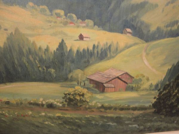 Foto & Immagini: ST.Peterzell SG 113x83,5cm NECKERTAL – Usato da Trachslau venduto da post35 3