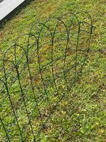 Zaun grün 10x0.65m
