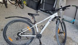 Bike Marke LIV Grösse S