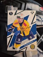Calle Andersson HC Davos Playoffs 2025/26 Sportzoo