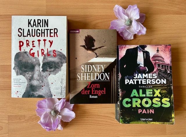 Bücher: Cody Mcfadyen, Iris Johansen, Karin Slaughter,Sidney Sheldon – Neu (gemäss Beschreibung) aus Bern von Denzel8 3