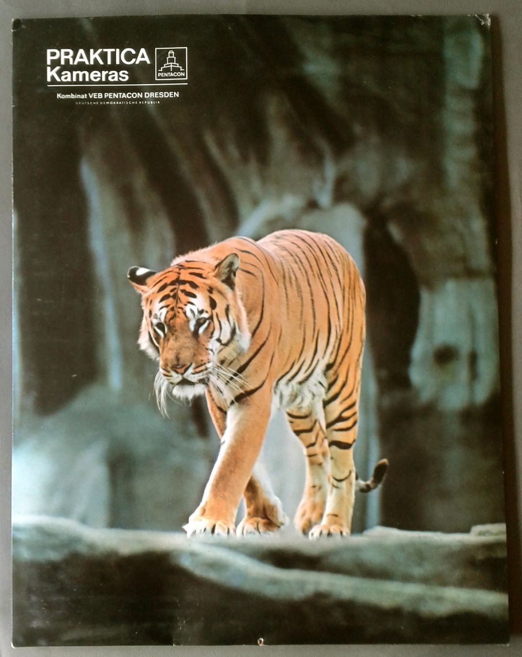 Foto & Immagini: Werbung Poster Praktica Kameras – Usato da Lausanne venduto da LasloH