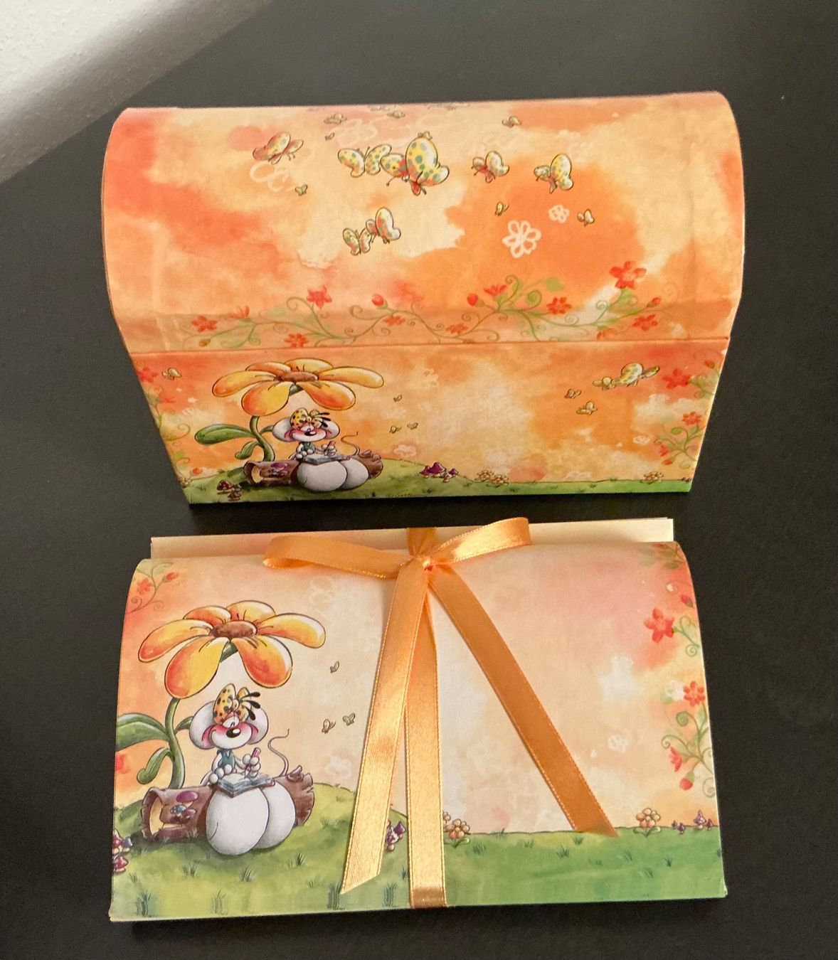 Carta: Diddl Briefpapier Box – Nuovo (secondo la descrizione) da St. Margrethen SG venduto da vista23 1