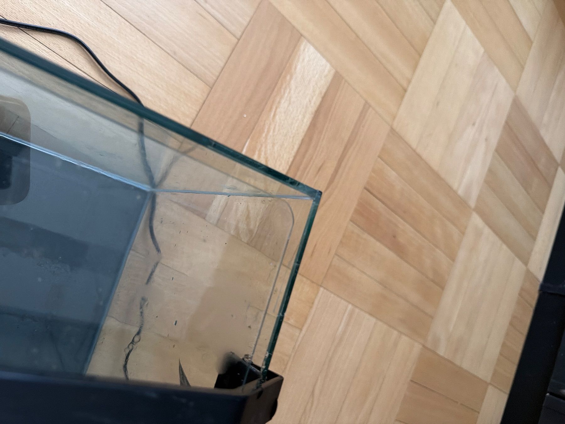 Dennerle Aquarium: Aquarium nano cube 20l – D'occasion à Petit-Lancy par pao_n8ls 4