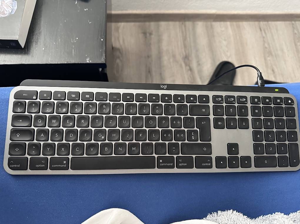 Tastiere: Logitech MX Keys for Mac – Usato da Reinach BL venduto da j_7fjs 2