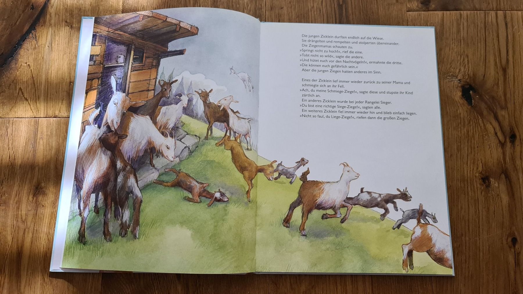Libri: Buch Die fliege ziege – Usato da Wittenbach venduto da Tigerlili 2