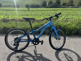 Kindervelo Crosswave Prime Rider
