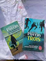 Lot de 2 livres de poche  Valérie Perrin