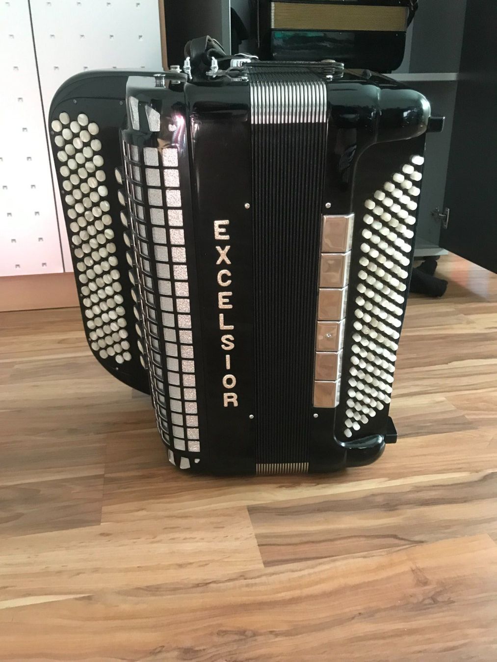 Excelsior Strumenti musicali: Handorgel – Usato da Emmenbrücke venduto da charly4940 4