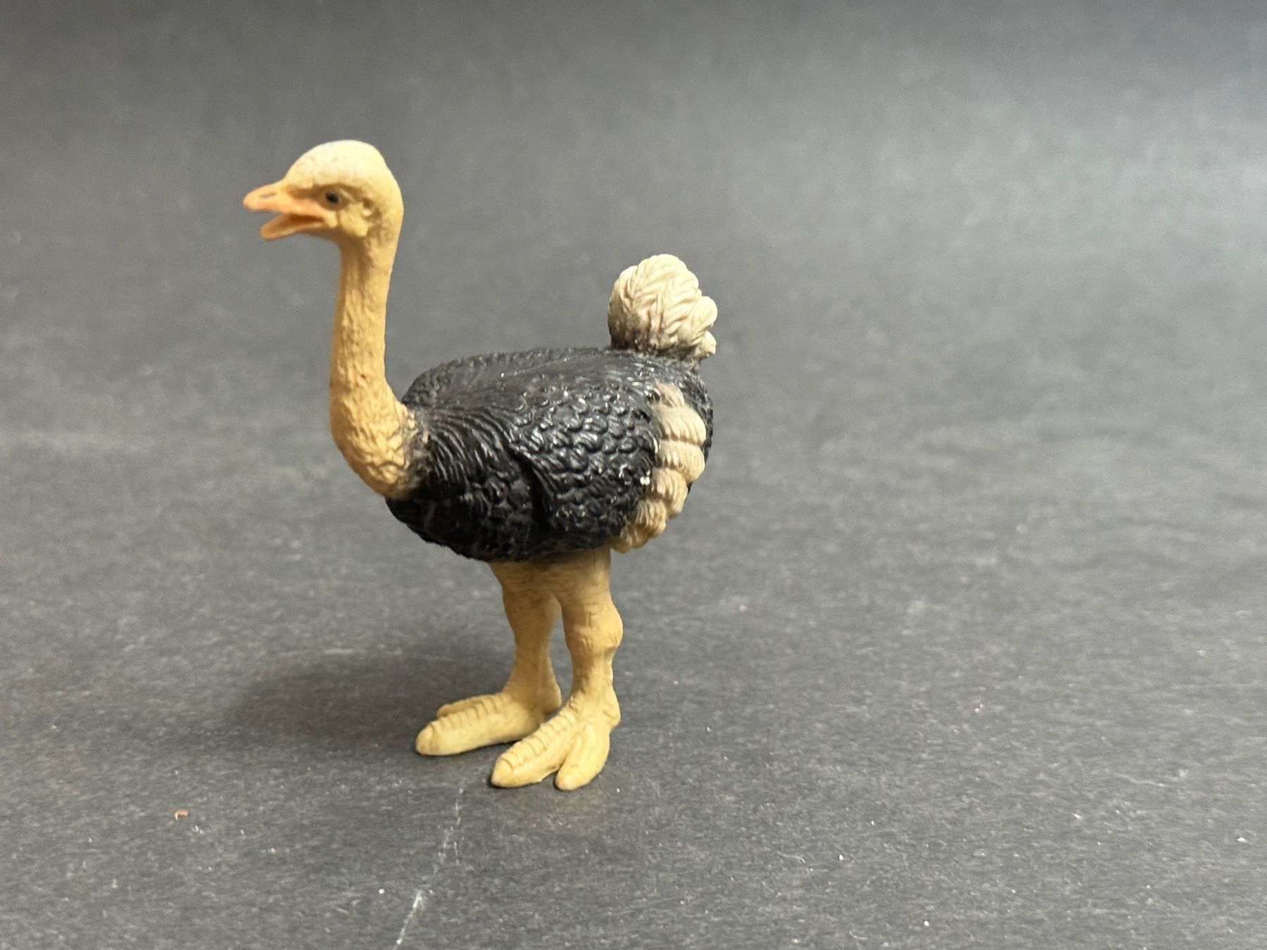 Schleich Figuren: Schleich Strauss Familie – Gebraucht aus Ennetbaden von mapa05 5