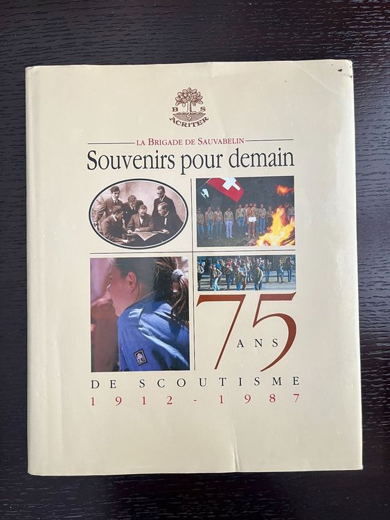 Pièce Geocaching - 100 Ans Du Scoutisme BSA - 10 Ans De Géocaching - Occasion