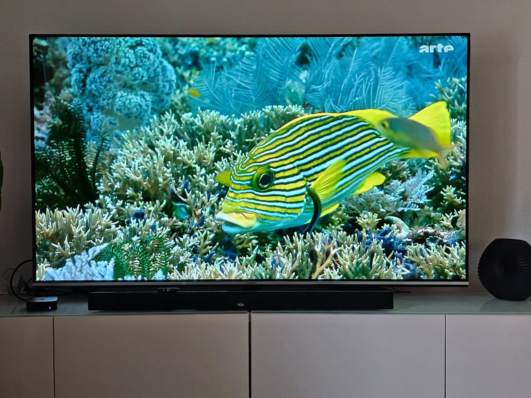 Fernseher: OLED Smart TV – Gebraucht aus Romanshorn von udo_ytq5 2