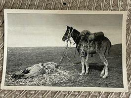Fotodruck 6x9cm Feldzug in Serbien 1915