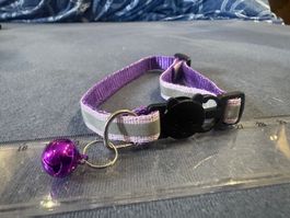 **** Schönes violett reflektierendes Katzenhalsband ****