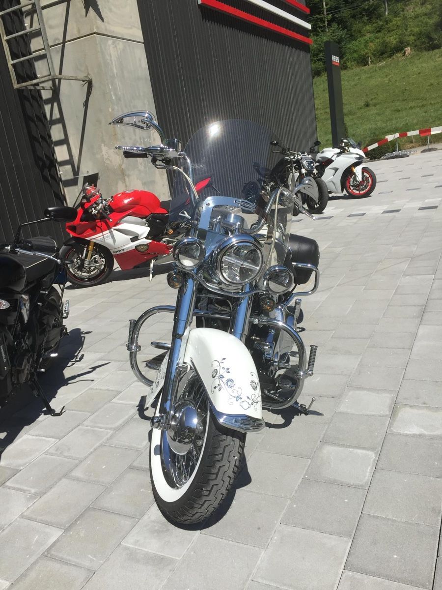 Harley-Davidson Chopper: Harley Davidson FLSTN 56kw – Usato da Oberweningen venduto da Bumblebee2 2