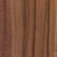 Furnier Tineo 0,6 mm