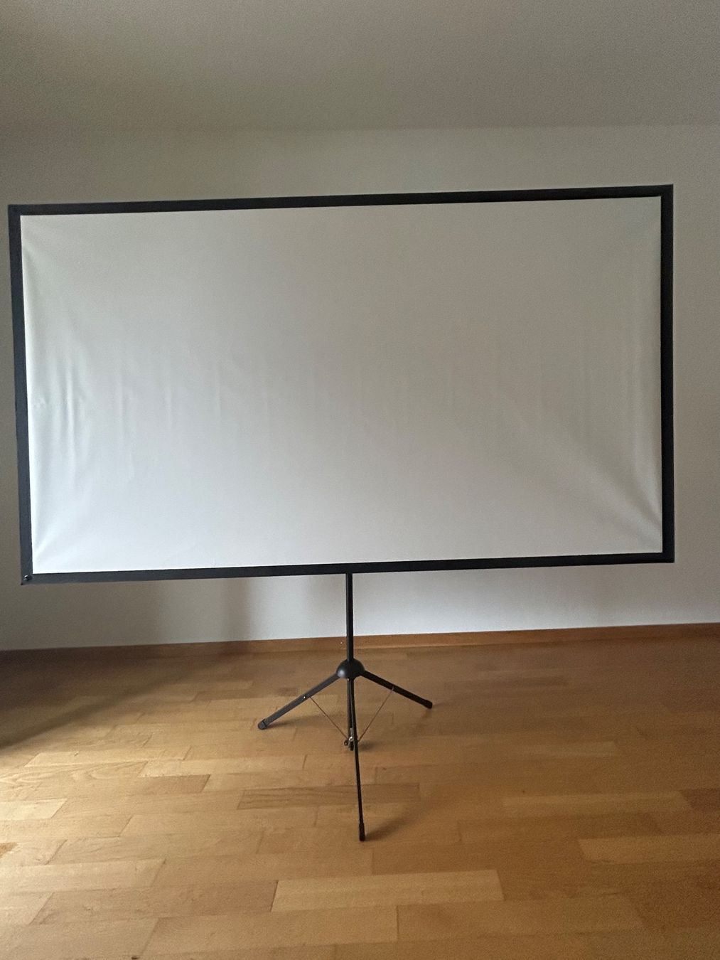 Home Cinema: Leinwand Beamer – Usato da Biel venduto da Maryelle