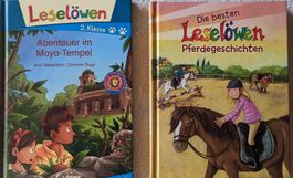 2 Bücher Leselöwe 2. Klasse