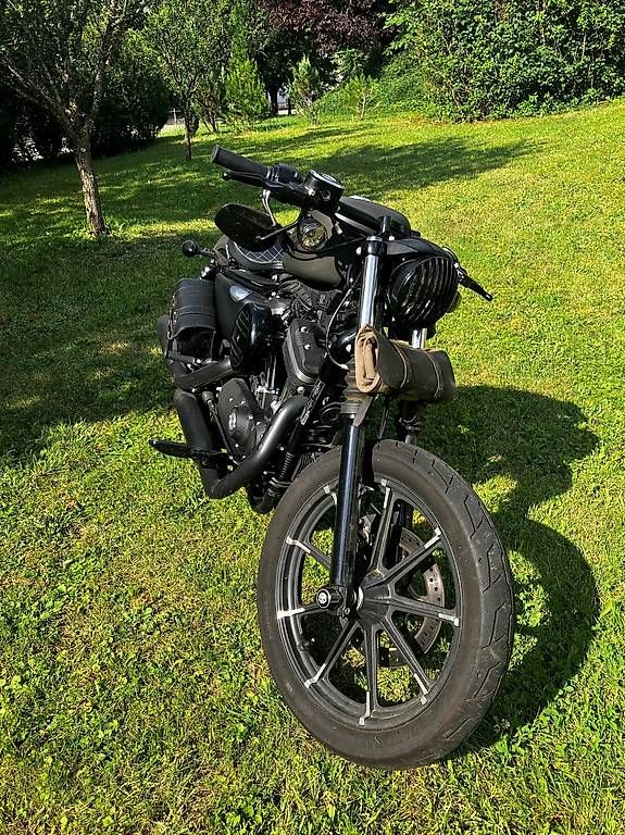 Chopper: Harley Davidson Sporster iron 883 – Gebraucht aus Glovelier von ALE_vtm5 3
