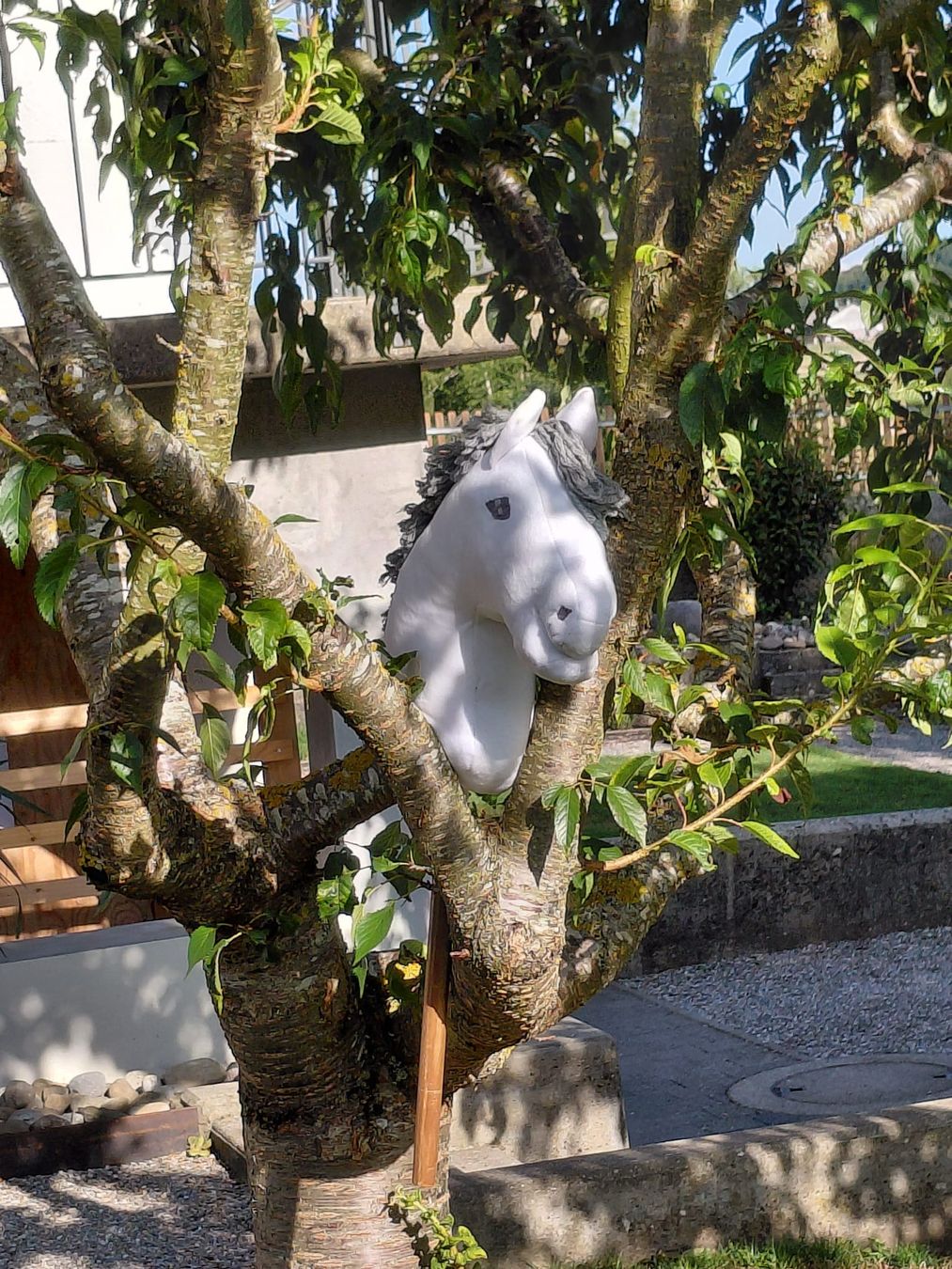 Jouets: Hobby Horse – Neuf (Voir description) à Bern par silbermond_83 4